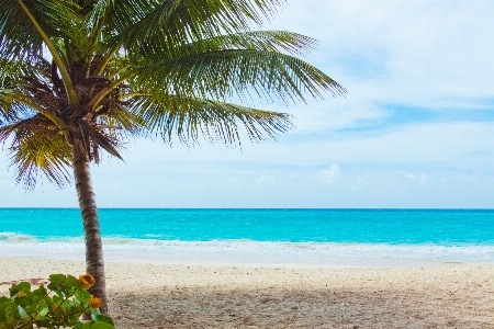 Beach landscape sea coast Photo