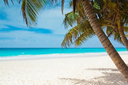 Beach landscape sea coast Photo