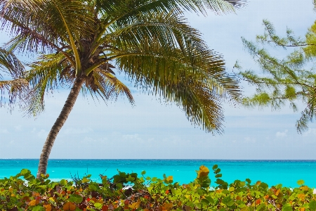 Beach landscape sea coast Photo