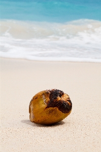 Beach sea nature sand Photo