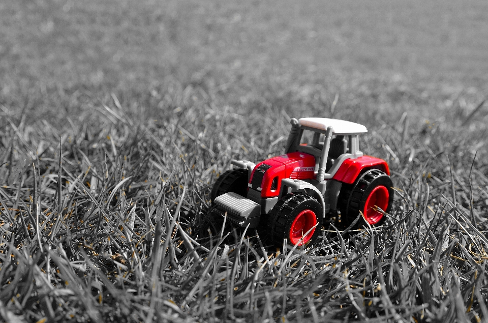 Césped tractor campo modelo