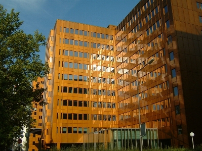 Foto Arquitectura cielo sol edificio