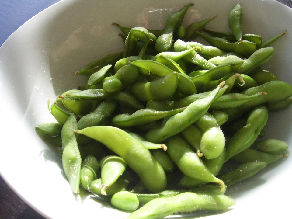 Tanaman buah piring makanan