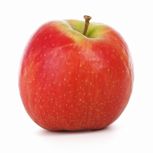 Apple nature plant fruit Photo