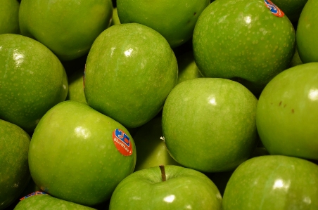 Apple plant fruit stem Photo