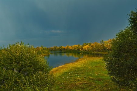 Landscape tree nature forest Photo