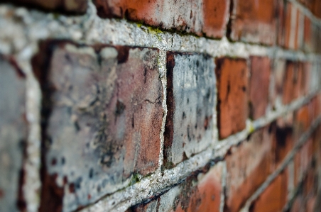 Architecture wood house texture Photo