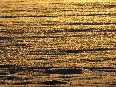 Sea coast sand horizon Photo