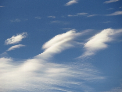 地平線 クラウド 空 暖かい 写真