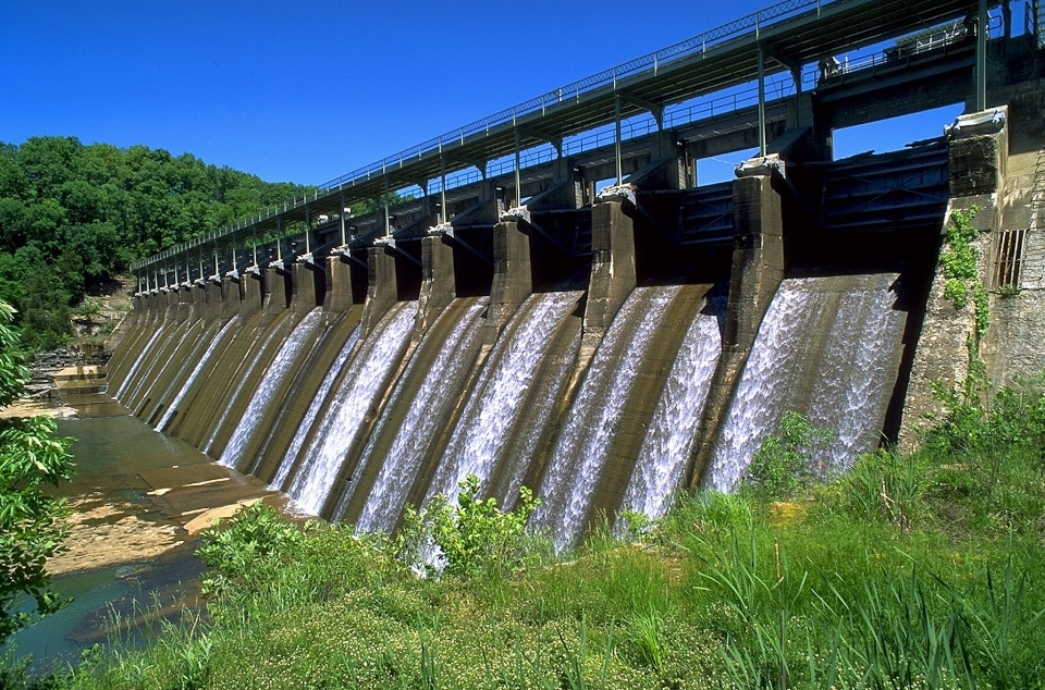 水 自然 草 建筑学