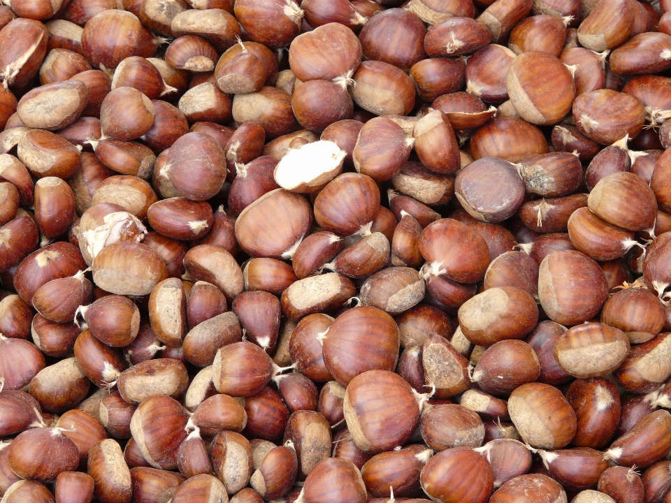 Usine nourriture produire légume