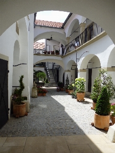 建築 白 villa 邸宅
 写真