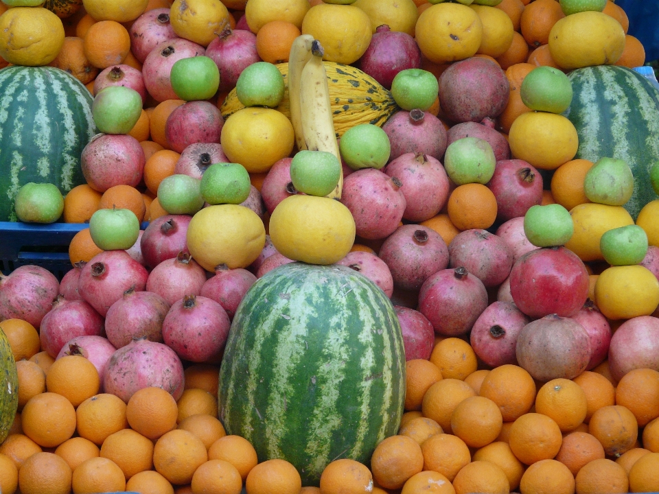 Apple plantar fruta comida