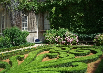 Landscape nature plant lawn Photo