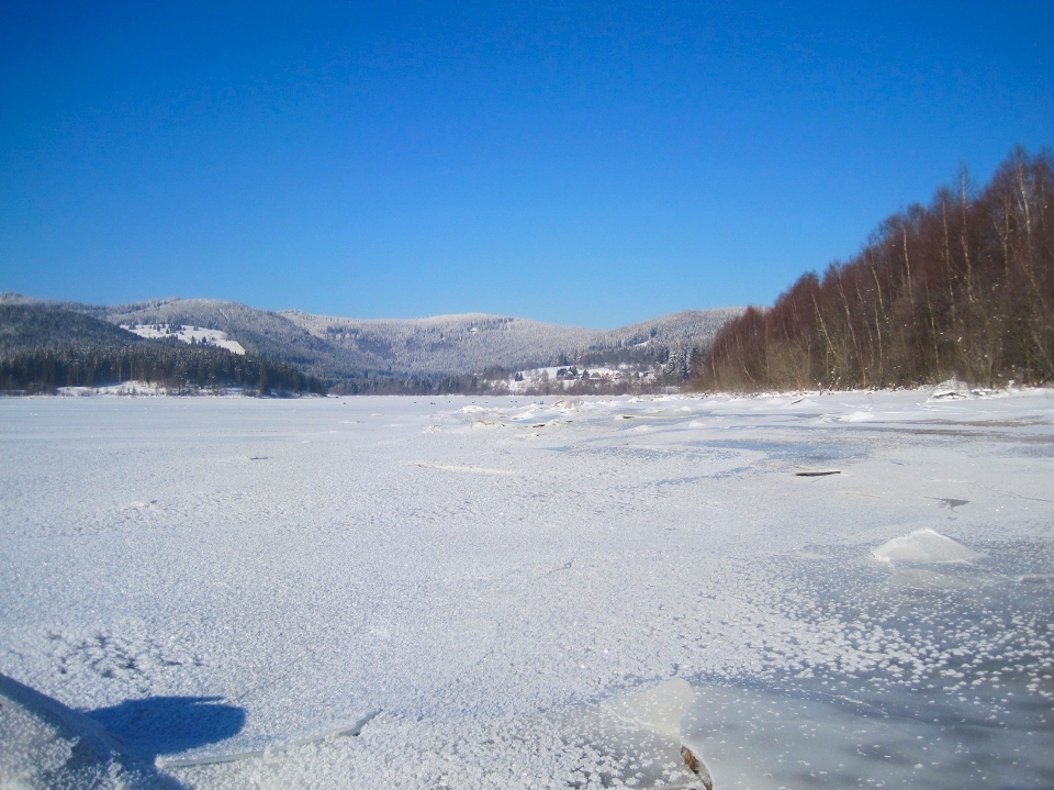 Acqua natura foresta selvaggia
