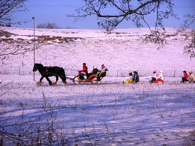 Landscape nature snow winter Photo