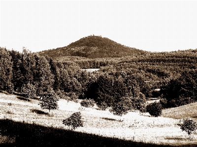 Zdjęcie Krajobraz natura las na wolnym powietrzu