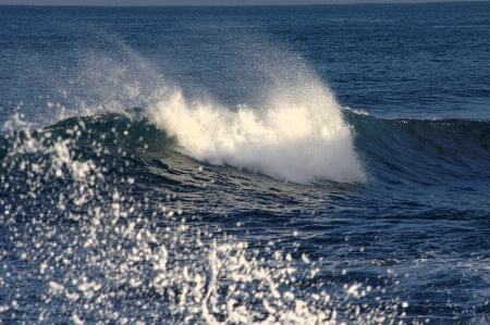 Beach sea coast water Photo