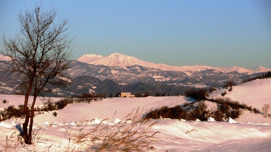 Landschaft wildnis
 berg schnee Foto