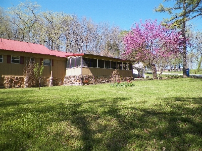 Foto árvore grama fazenda casa