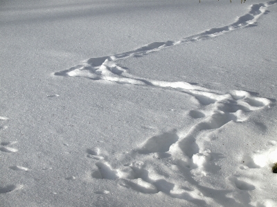 Sand snow cold winter Photo