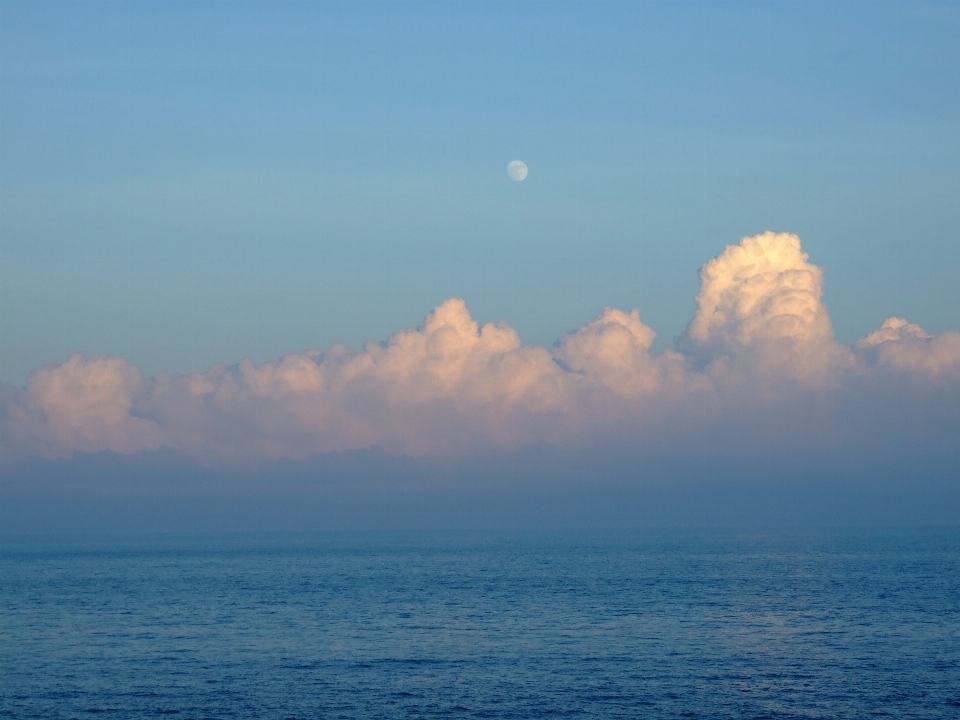 海 海岸 自然 海洋