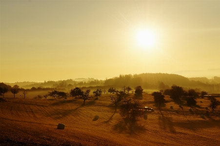 Landscape tree sand horizon Photo