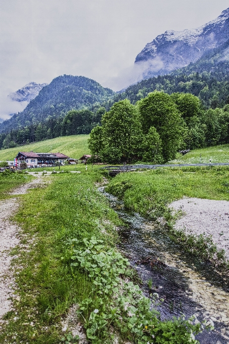 Landscape water nature forest