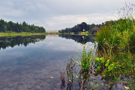 Landscape tree water nature Photo