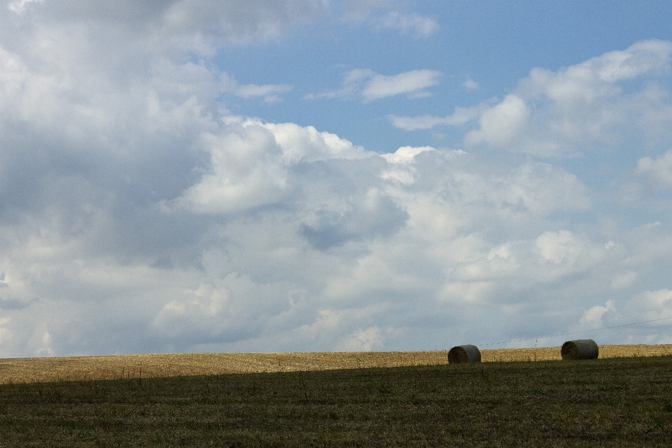 Paesaggio natura erba orizzonte