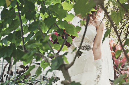 Blossom plant woman white Photo