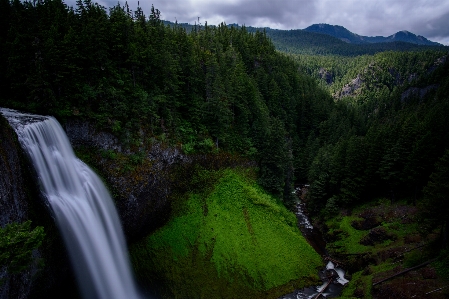 Landscape tree water nature Photo