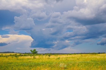 Landscape nature grass horizon Photo