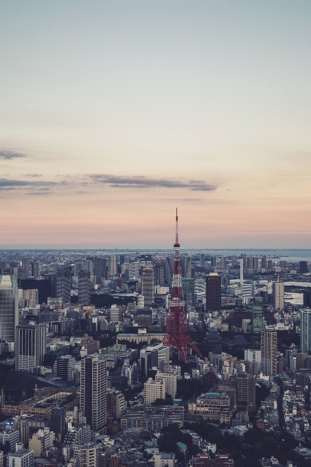 地平線 空 日没 スカイライン