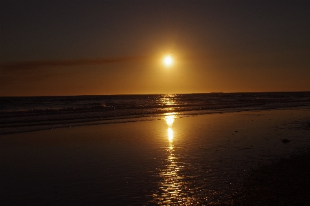 Beach sea coast nature Photo