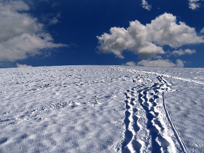 Landscape mountain snow cold Photo