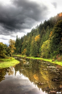 Landscape tree water nature Photo