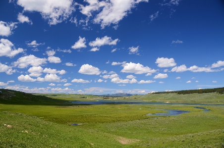 Zdjęcie Krajobraz woda natura trawa