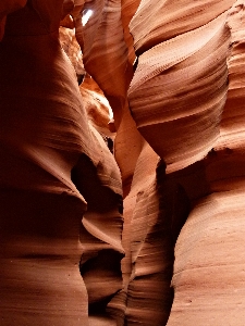 Hand nature rock wood Photo