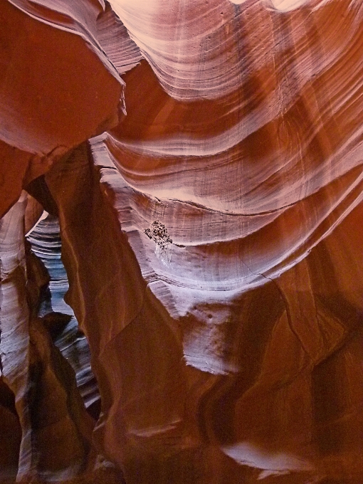 Nature rock wood desert