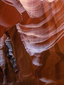 Nature rock wood desert Photo