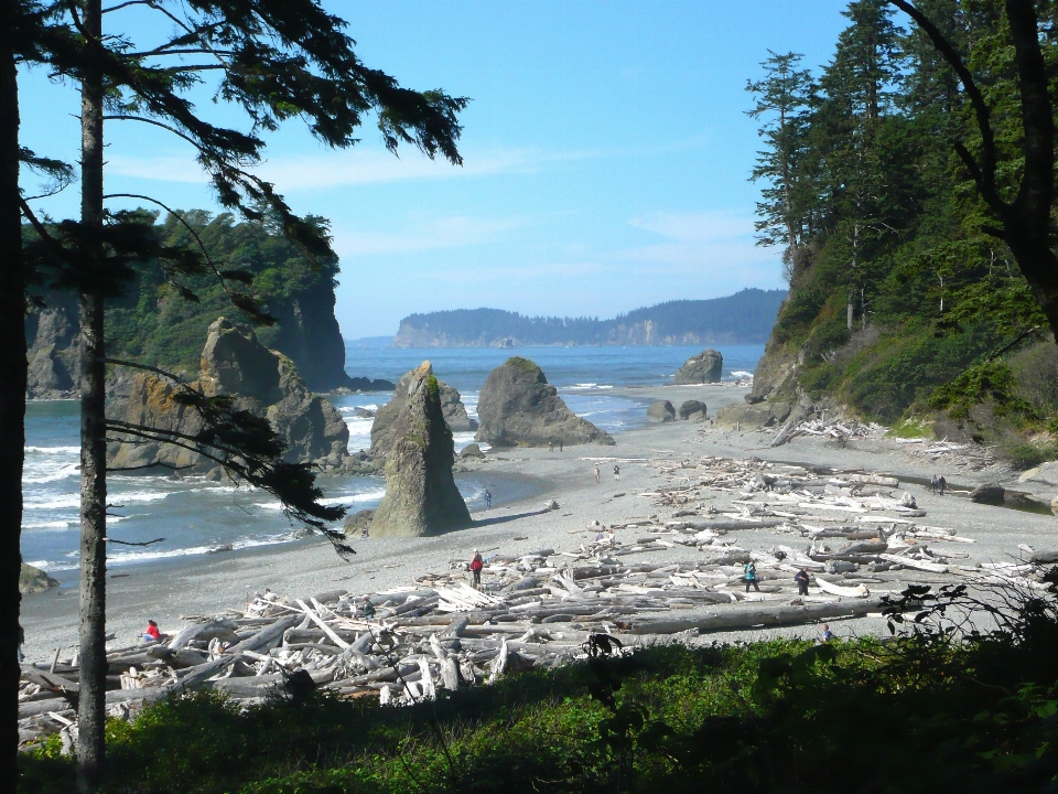 海滩 景观 海 海岸