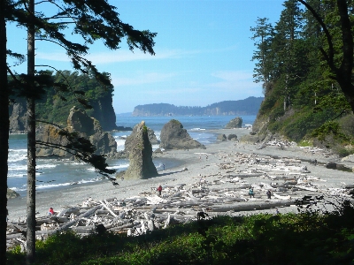 Beach landscape sea coast Photo