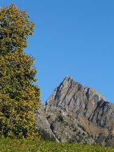 Landscape tree nature rock Photo