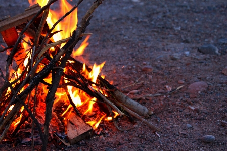 Leaf autumn flame fire Photo