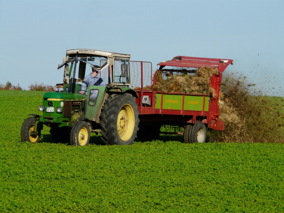 Bekerja traktor bidang peternakan