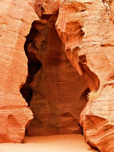 Nature rock wood desert Photo