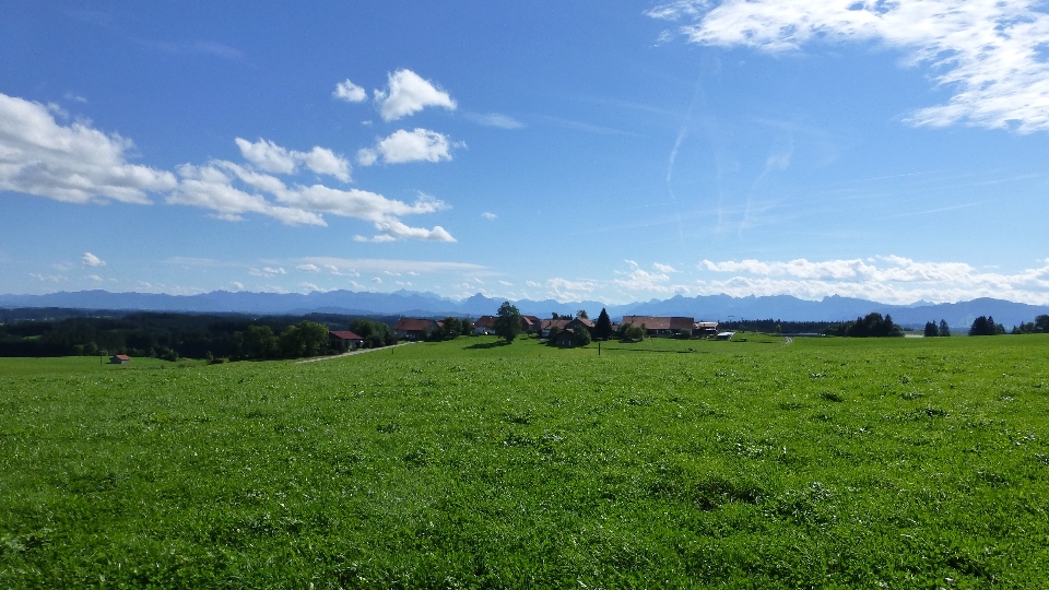 Paysage herbe horizon montagne