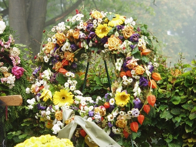 Photo Usine fleur cimetière jardin