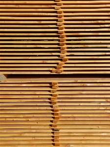 Wood texture floor pattern Photo